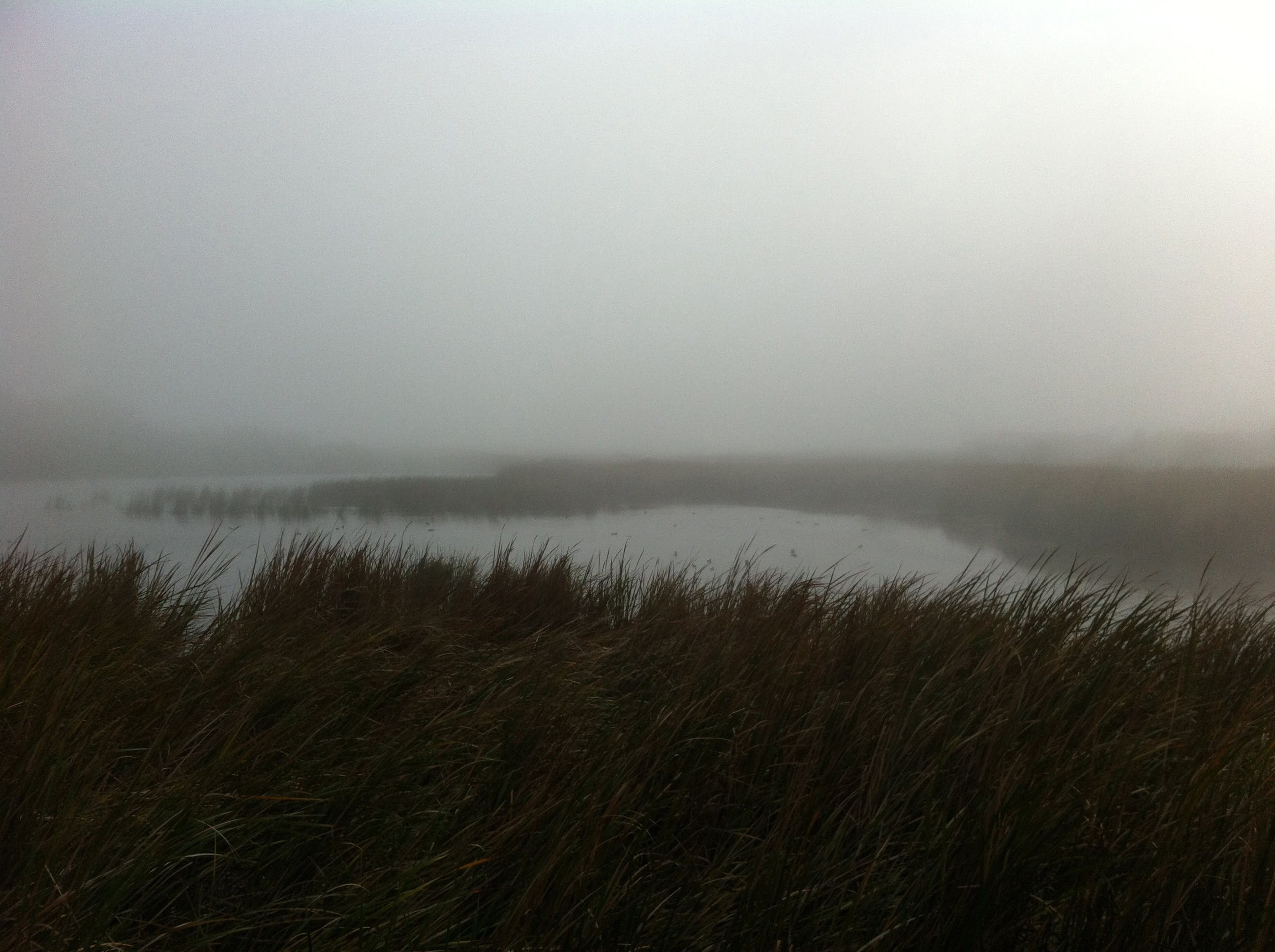Early morning fog Cape Town South Africa